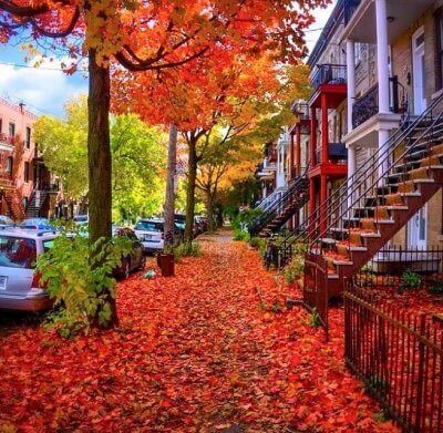 Escena de otoño