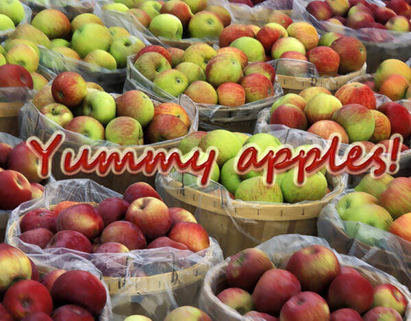 Manzanas deliciosas
