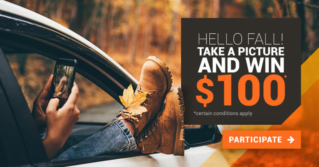 Fall leaves car shoes