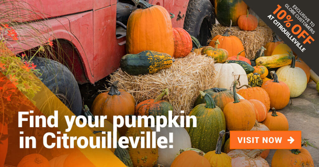 Pumkin everywhere many colors and shapes in front of red car