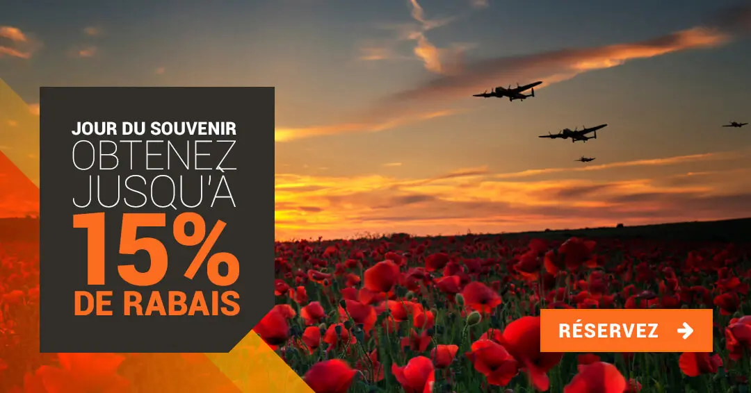poppy plane red sky