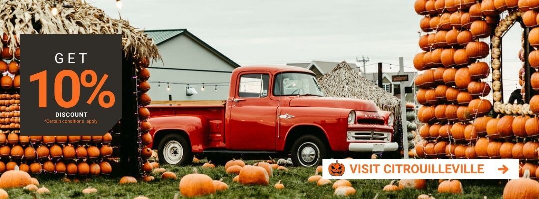 Pumkin de toutes les couleurs et de toutes les formes devant une voiture rouge