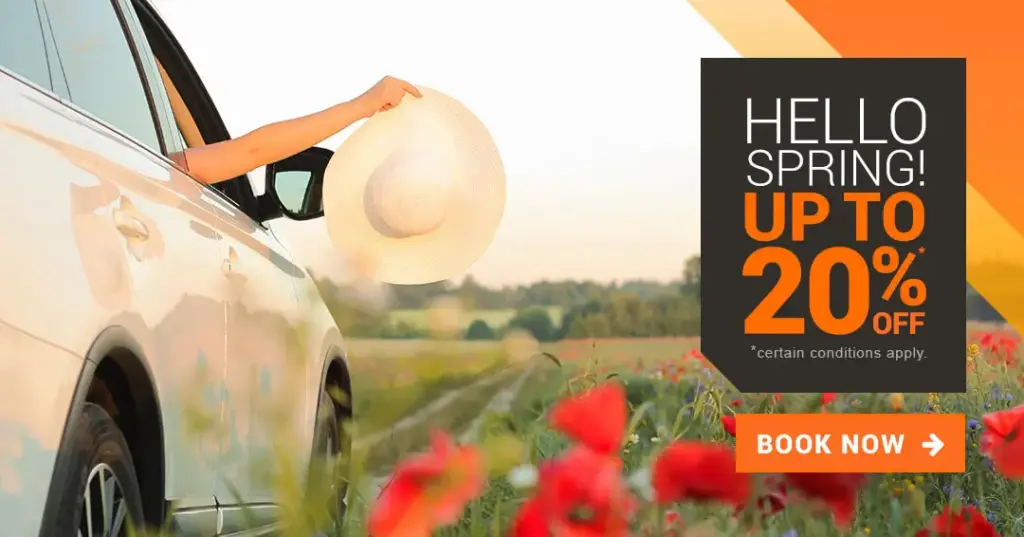 Tullips flowers white car hat